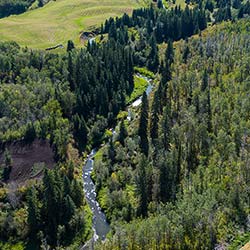 Whitemud Creek Ravine along Glenridding Ravine