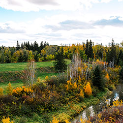 Whitemud Creek flows through the ravine