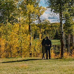 Enjoy lush trees along the ravine